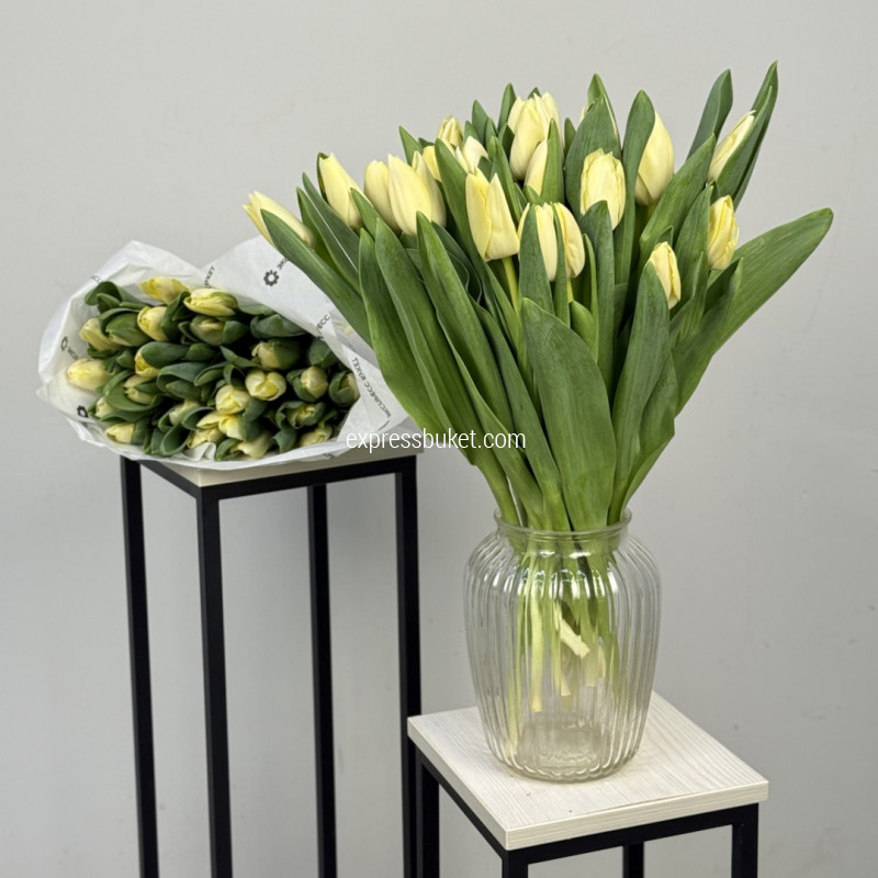 Тюльпаны желтые, 25 шт