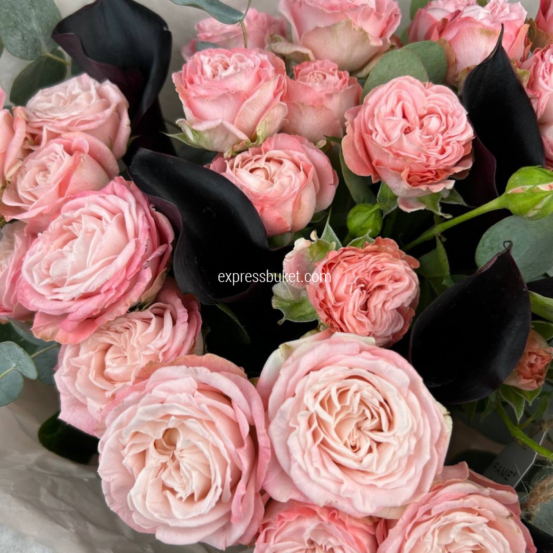 Розовый восход